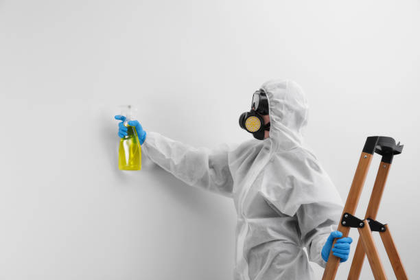 Trusted Huber Ridge, OH Mold Removal & Remediation Experts